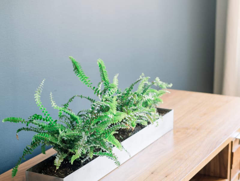 home-staging_73