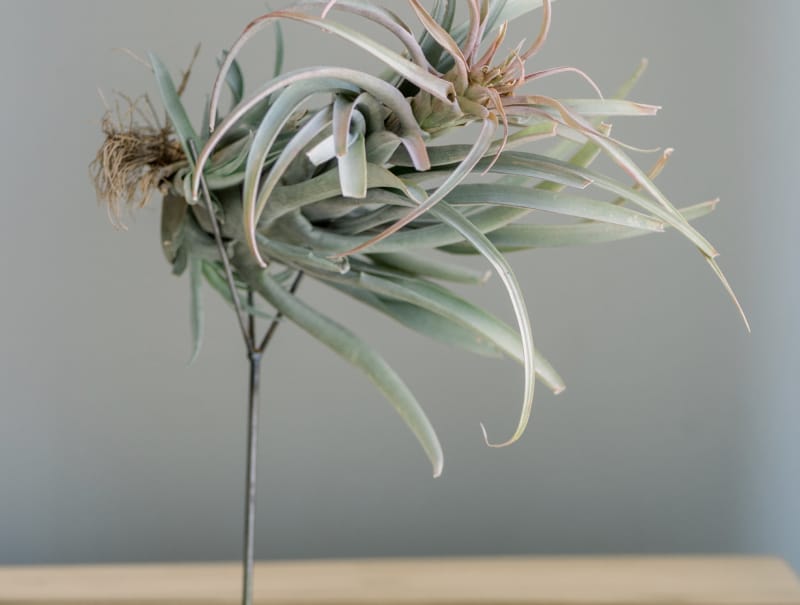 home-staging_75